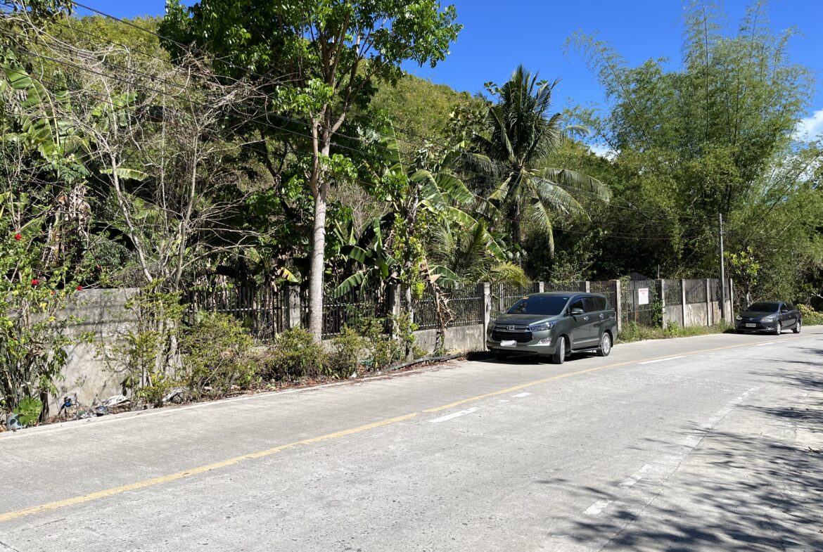 Titled Property for Sale in Barangay Lataban, Liloan, Cebu