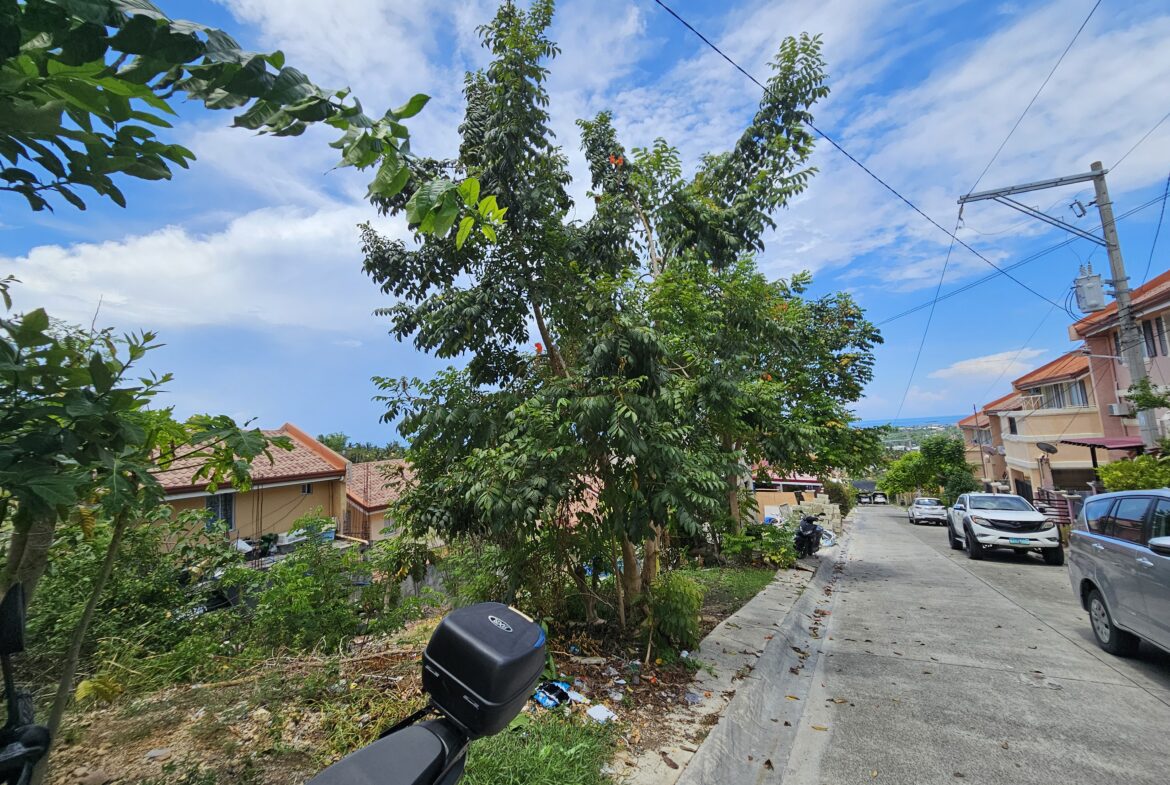 Camella Azienda Genova